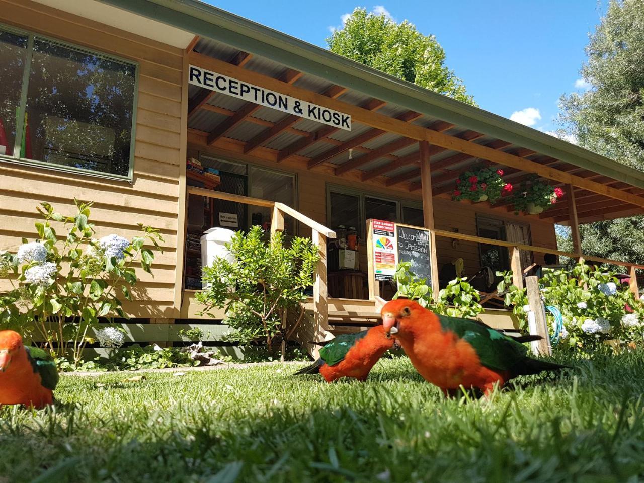 Jamieson Caravan Park Extérieur photo